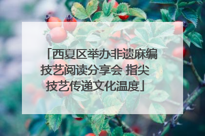 西夏区举办非遗麻编技艺阅读分享会 指尖技艺传递文化温度