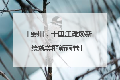 襄州：十里江滩焕新 绘就美丽新画卷