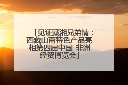 见证藏湘兄弟情：西藏山南特色产品亮相第四届中国-非洲经贸博览会