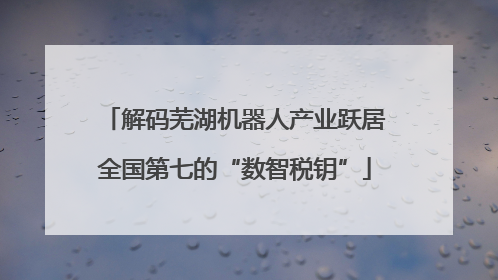 解码芜湖机器人产业跃居全国第七的“数智税钥”