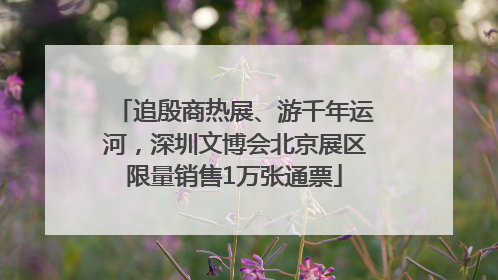 追殷商热展、游千年运河，深圳文博会北京展区限量销售1万张通票