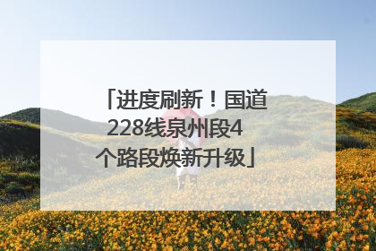 进度刷新！国道228线泉州段4个路段焕新升级