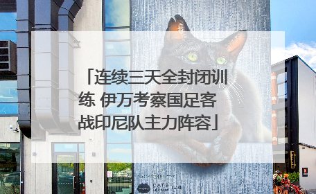 连续三天全封闭训练 伊万考察国足客战印尼队主力阵容