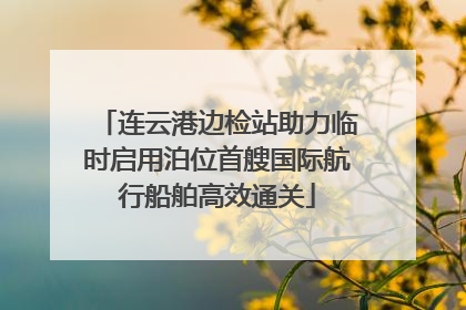 连云港边检站助力临时启用泊位首艘国际航行船舶高效通关