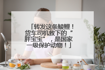转发这条鲮鲤！货车司机救下的“胖宝宝”，是国家一级保护动物！