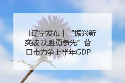 辽宁发布｜“振兴新突破 决胜勇争先”营口市力争上半年GDP增长6%左右