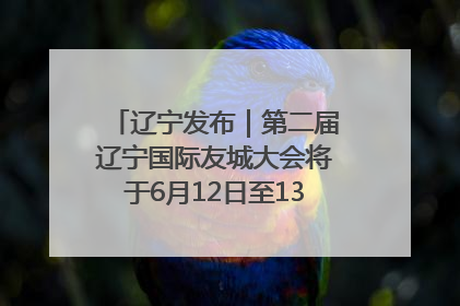 辽宁发布｜第二届辽宁国际友城大会将于6月12日至13日在沈阳举办