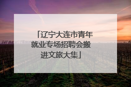 辽宁大连市青年就业专场招聘会搬进文旅大集