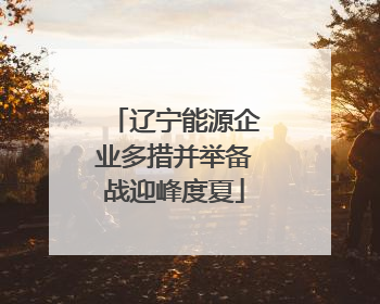 辽宁能源企业多措并举备战迎峰度夏