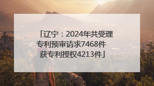 辽宁：2024年共受理专利预审请求7468件 获专利授权4213件