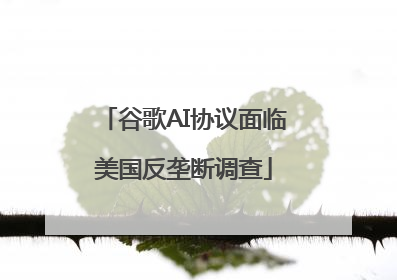 谷歌AI协议面临美国反垄断调查