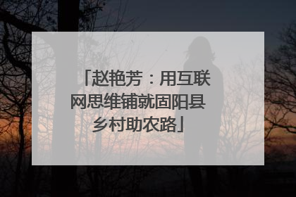 赵艳芳：用互联网思维铺就固阳县乡村助农路