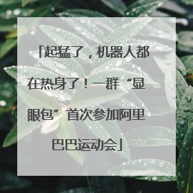 起猛了，机器人都在热身了！一群“显眼包”首次参加阿里巴巴运动会