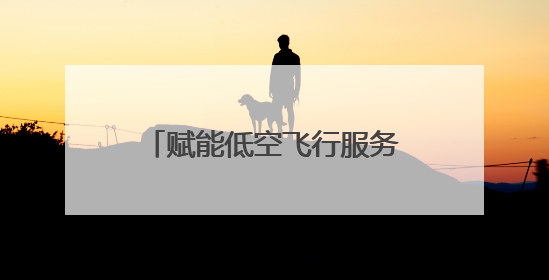 赋能低空飞行服务 湖南首个低空智联网在长沙县启动