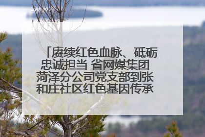 赓续红色血脉、砥砺忠诚担当 省网媒集团菏泽分公司党支部到张和庄社区红色基因传承馆开展主题党日活动