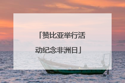 赞比亚举行活动纪念非洲日