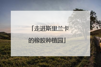 走进斯里兰卡的橡胶种植园
