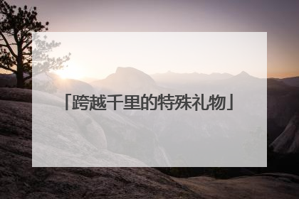跨越千里的特殊礼物