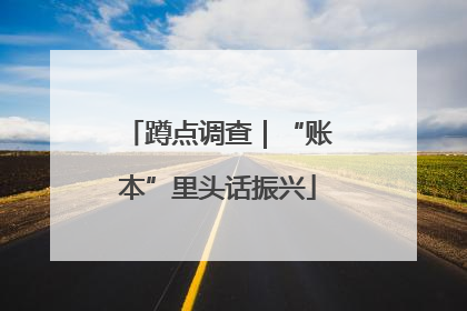 蹲点调查｜“账本”里头话振兴