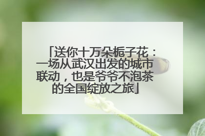送你十万朵栀子花：一场从武汉出发的城市联动，也是爷爷不泡茶的全国绽放之旅