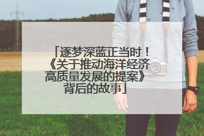 逐梦深蓝正当时！《关于推动海洋经济高质量发展的提案》背后的故事