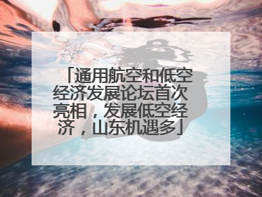 通用航空和低空经济发展论坛首次亮相，发展低空经济，山东机遇多