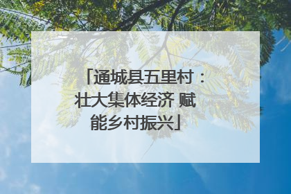 通城县五里村：壮大集体经济 赋能乡村振兴