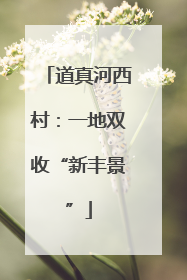 道真河西村：一地双收“新丰景”