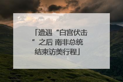 遭遇“白宫伏击”之后 南非总统结束访美行程