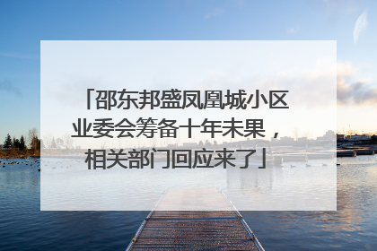 邵东邦盛凤凰城小区业委会筹备十年未果，相关部门回应来了