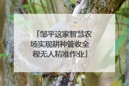 邹平这家智慧农场实现耕种管收全程无人精准作业