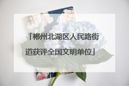 郴州北湖区人民路街道获评全国文明单位