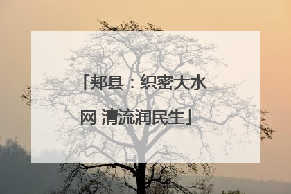 郏县：织密大水网 清流润民生
