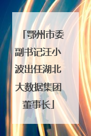 鄂州市委副书记汪小波出任湖北大数据集团董事长