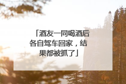 酒友一同喝酒后各自驾车回家，结果都被抓了