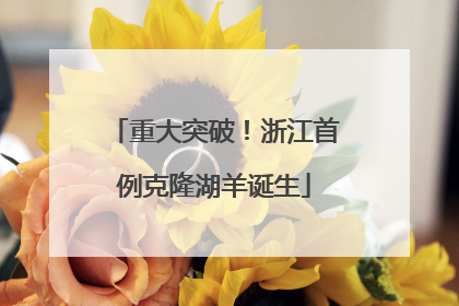 重大突破！浙江首例克隆湖羊诞生