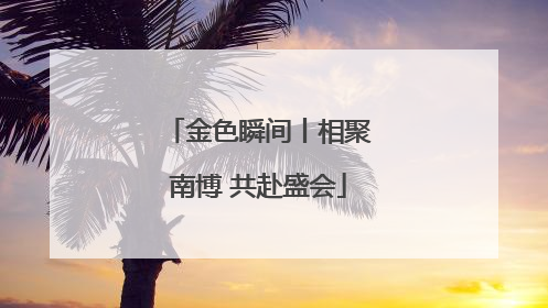 金色瞬间丨相聚南博 共赴盛会