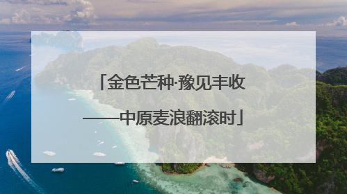 金色芒种·豫见丰收——中原麦浪翻滚时