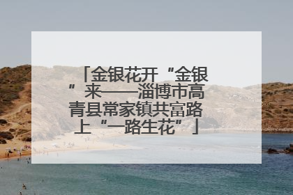 金银花开“金银”来——淄博市高青县常家镇共富路上“一路生花”