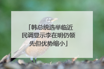 韩总统选举临近 民调显示李在明仍领先但优势缩小