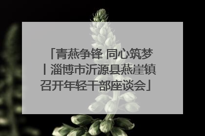 青燕争锋 同心筑梦丨淄博市沂源县燕崖镇召开年轻干部座谈会