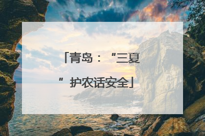 青岛：“三夏”护农话安全