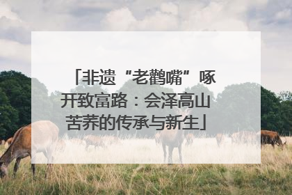 非遗“老鹳嘴”啄开致富路：会泽高山苦荞的传承与新生