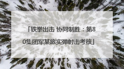 铁拳出击 协同制胜：第80集团军某旅实弹射击考核