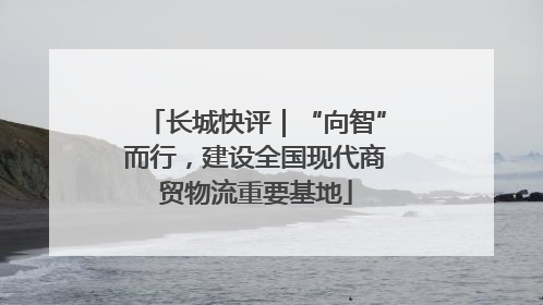 长城快评｜“向智”而行，建设全国现代商贸物流重要基地