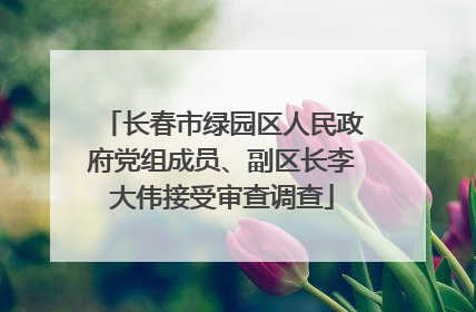 长春市绿园区人民政府党组成员、副区长李大伟接受审查调查