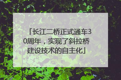 长江二桥正式通车30周年，实现了斜拉桥建设技术的自主化