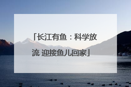 长江有鱼：科学放流 迎接鱼儿回家
