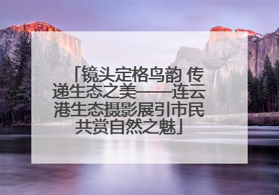 镜头定格鸟韵 传递生态之美——连云港生态摄影展引市民共赏自然之魅