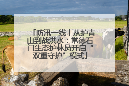 防汛一线丨从护青山到战洪水：常德石门生态护林员开启“双重守护”模式